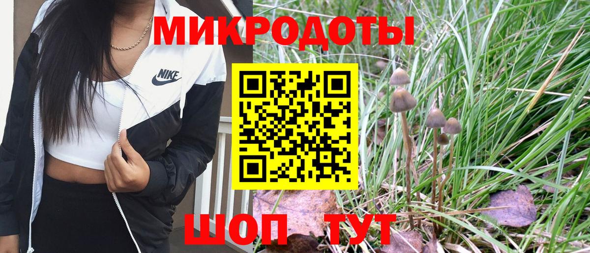 Псилоцибиновые грибы Psilocybine cubensis Камышлов