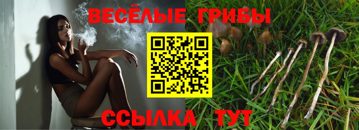 Камышлов  Псилоцибиновые грибы GOLDEN TEACHER  Вход с VPN 